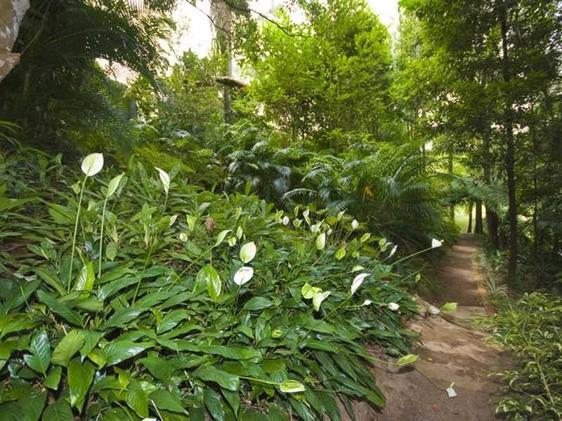 36 Bendixen Lane, Woombye QLD 4559