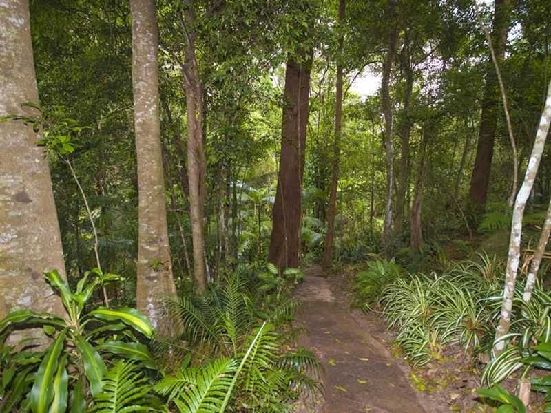 36 Bendixen Lane, Woombye QLD 4559