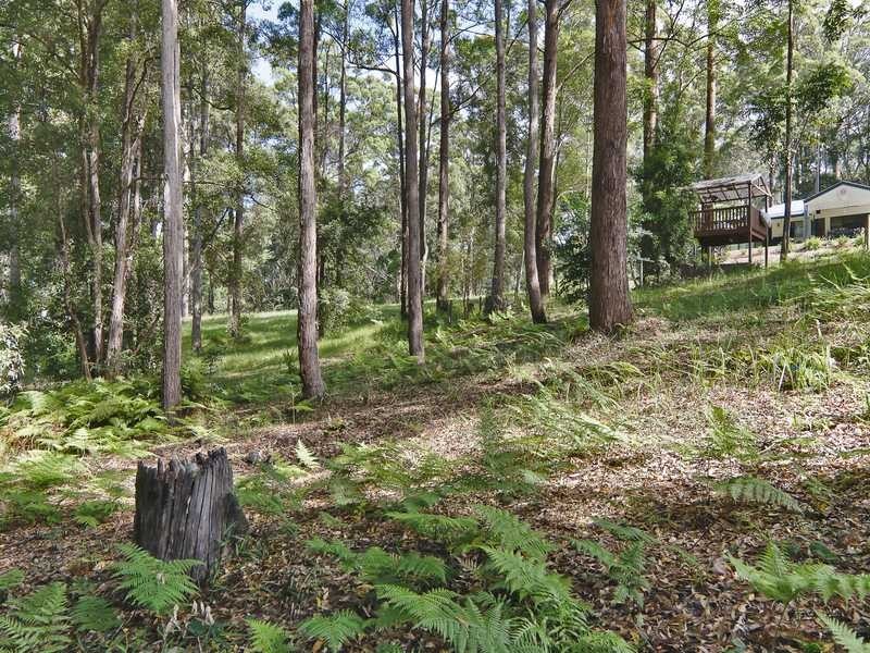 23 Bushbird Court, Diddillibah QLD 4559