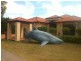 23 Fitzwilliam Drive, Sippy Downs QLD 4556