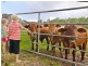 66 Espin Road, Bli Bli QLD 4560