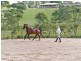 66 Espin Road, Bli Bli QLD 4560