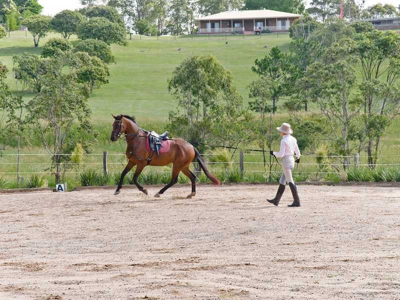 66 Espin Road, Bli Bli QLD 4560