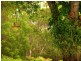 Rosemount QLD 4560