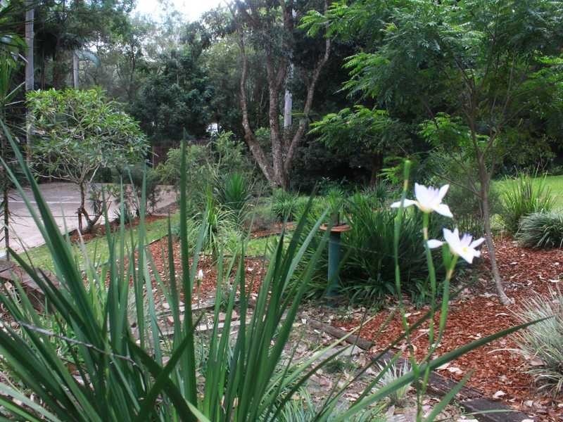 59 Pringle Road, Rosemount QLD 4560