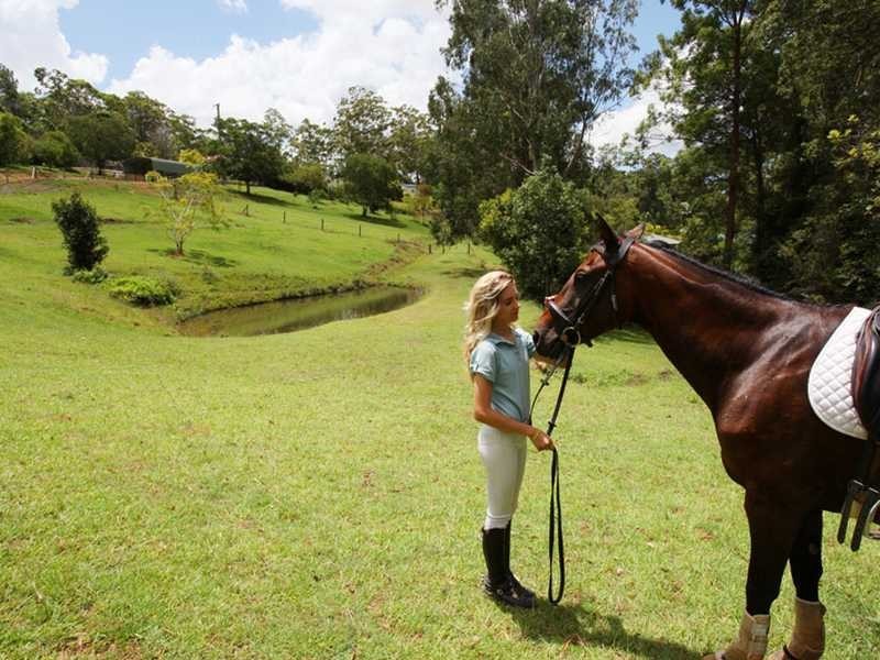 428 Diddillibah Road, Diddillibah QLD 4559