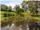 428 Diddillibah Road, Diddillibah QLD 4559