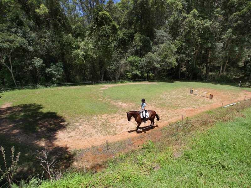 428 Diddillibah Road, Diddillibah QLD 4559