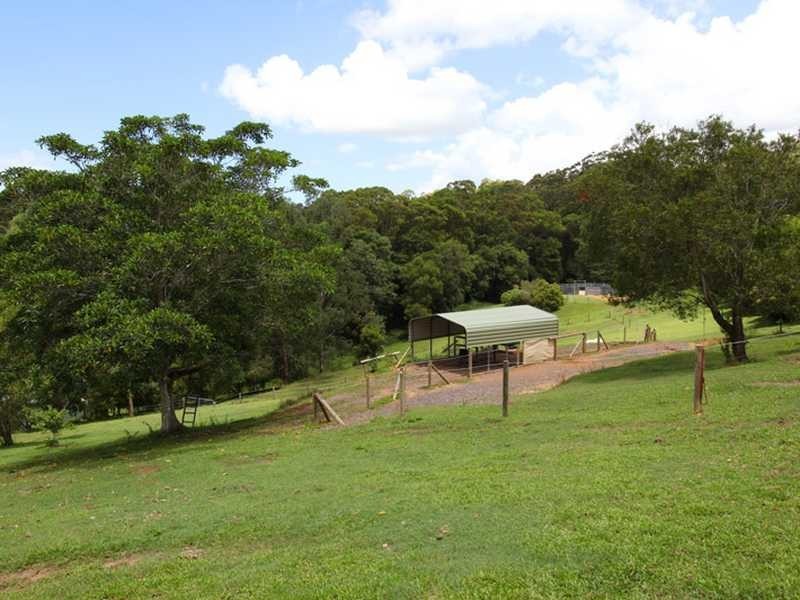 428 Diddillibah Road, Diddillibah QLD 4559