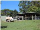 428 Diddillibah Road, Diddillibah QLD 4559