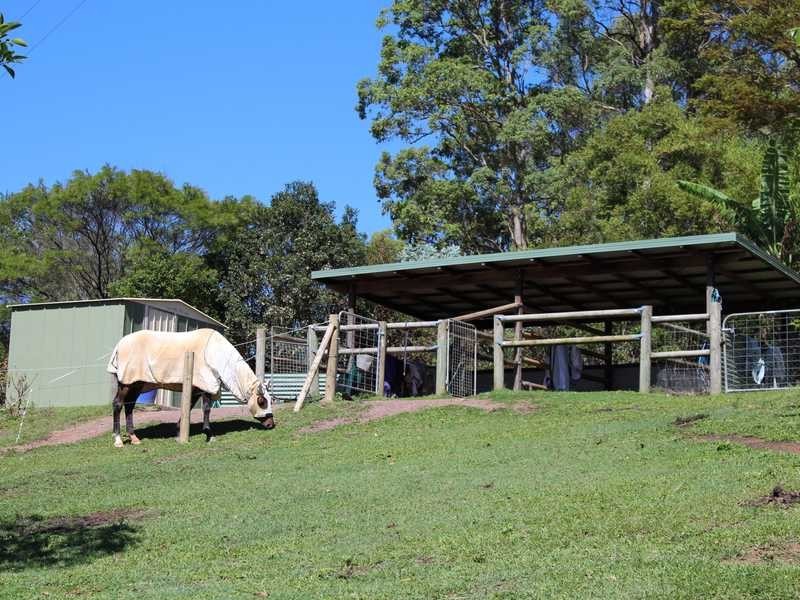 428 Diddillibah Road, Diddillibah QLD 4559