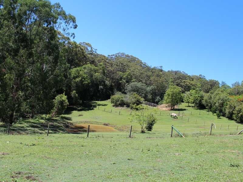 428 Diddillibah Road, Diddillibah QLD 4559