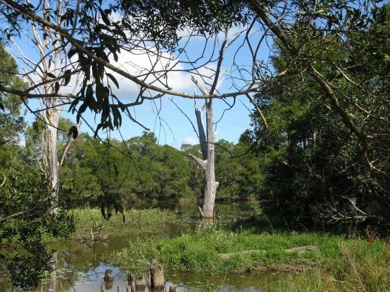 1 Haflinger Road, North Arm QLD 4561