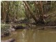 316 Seib Road, North Arm QLD 4561