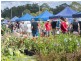 Yandina QLD 4561