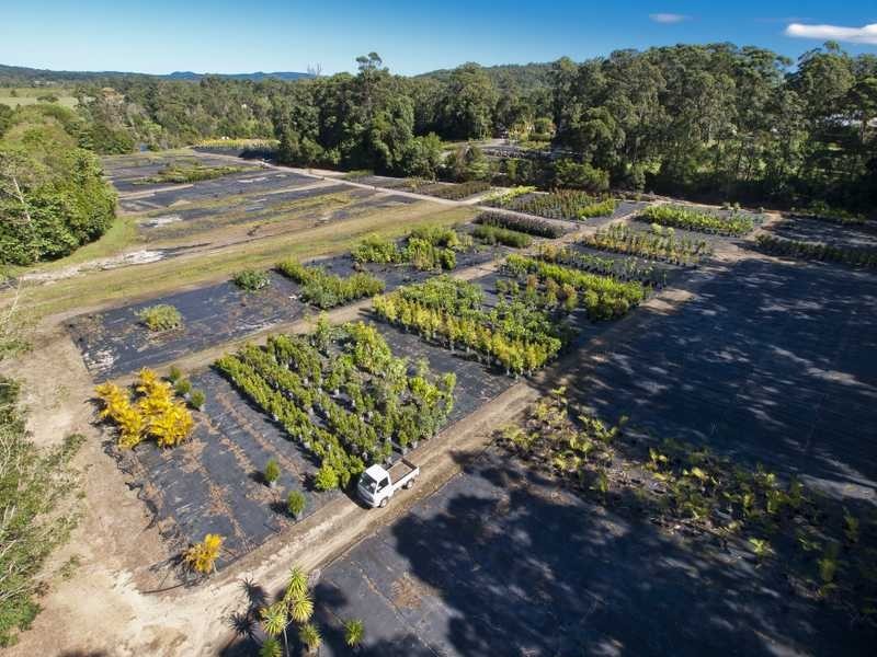 13 Eudlo Flats Road, Diddillibah QLD 4559