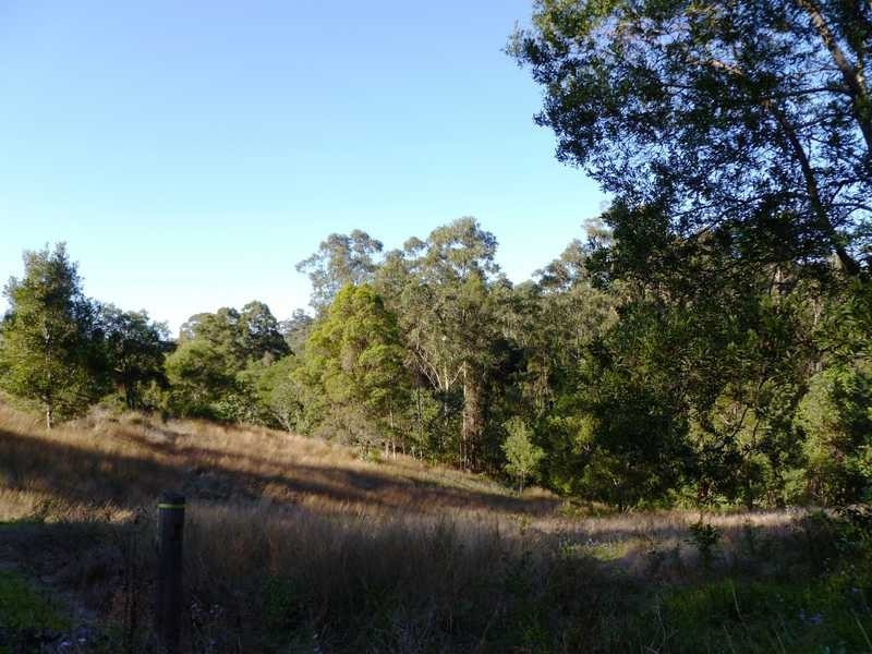 367 Blackall Range Road, West Woombye QLD 4559