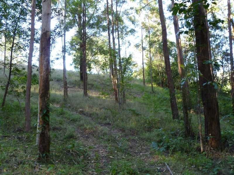 367 Blackall Range Road, West Woombye QLD 4559