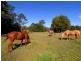 289-319 Dulong Road, Mapleton QLD 4560