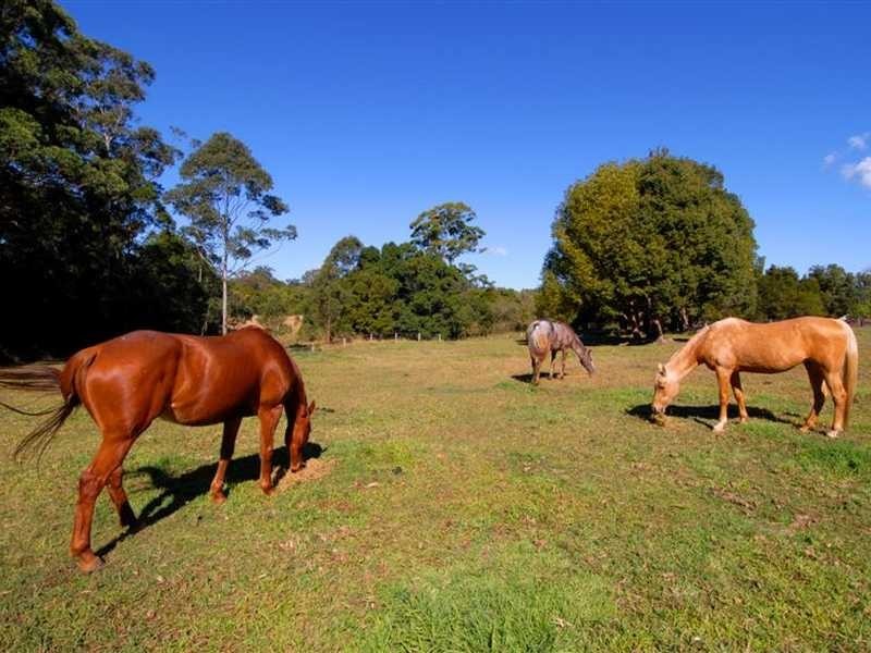 289-319 Dulong Road, Mapleton QLD 4560