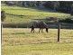 289-319 Dulong Road, Mapleton QLD 4560