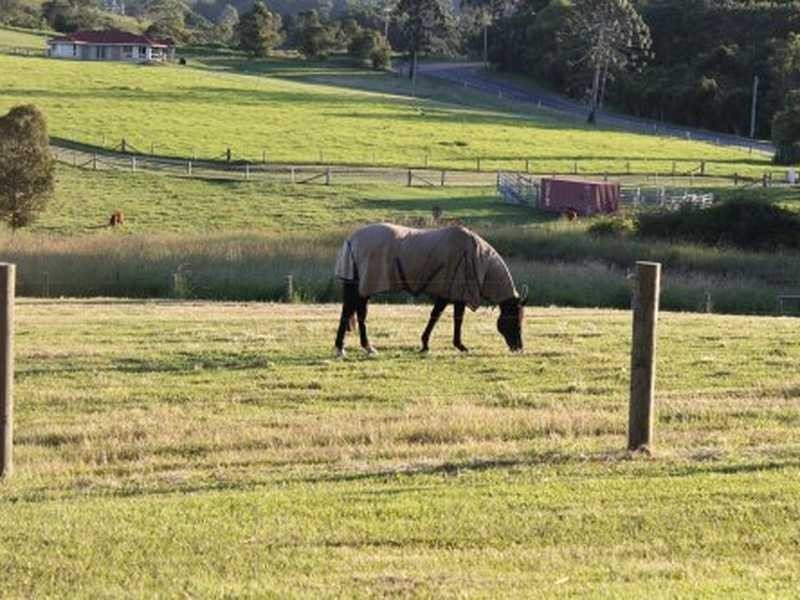 289-319 Dulong Road, Mapleton QLD 4560