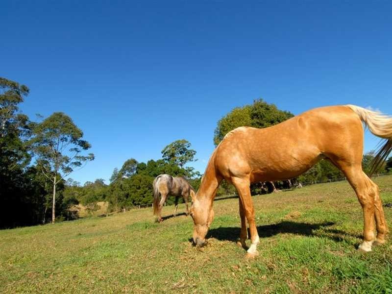 289-319 Dulong Road, Mapleton QLD 4560