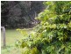 211 Delicia Road, Mapleton QLD 4560