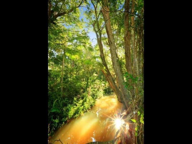 Lot 1 Mountain View Court, Yandina QLD 4561