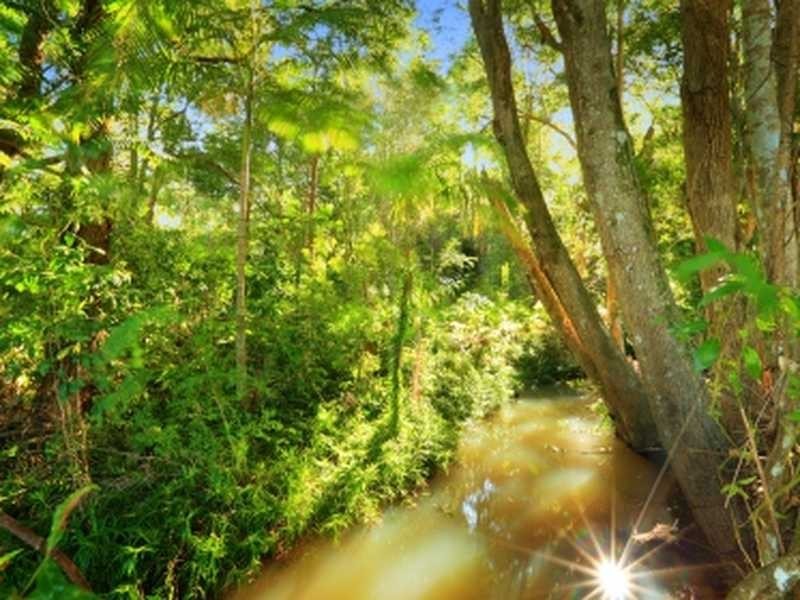 Lot 7 Mountain View Court, Yandina QLD 4561