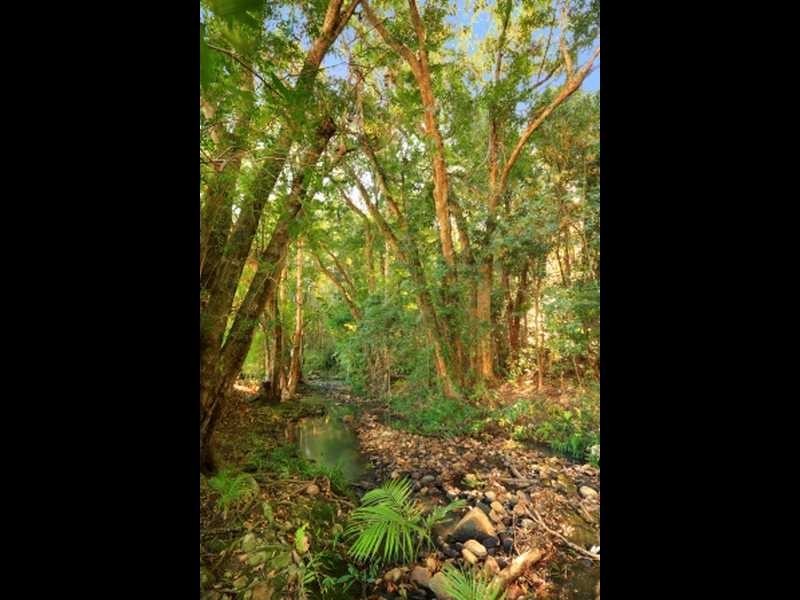Lot 7 Mountain View Court, Yandina QLD 4561
