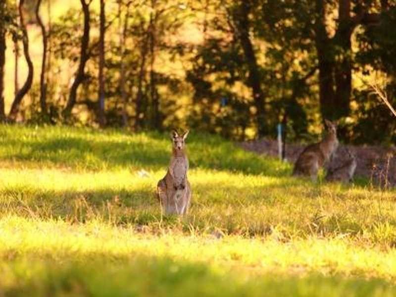 Lot 7 Mountain View Court, Yandina QLD 4561