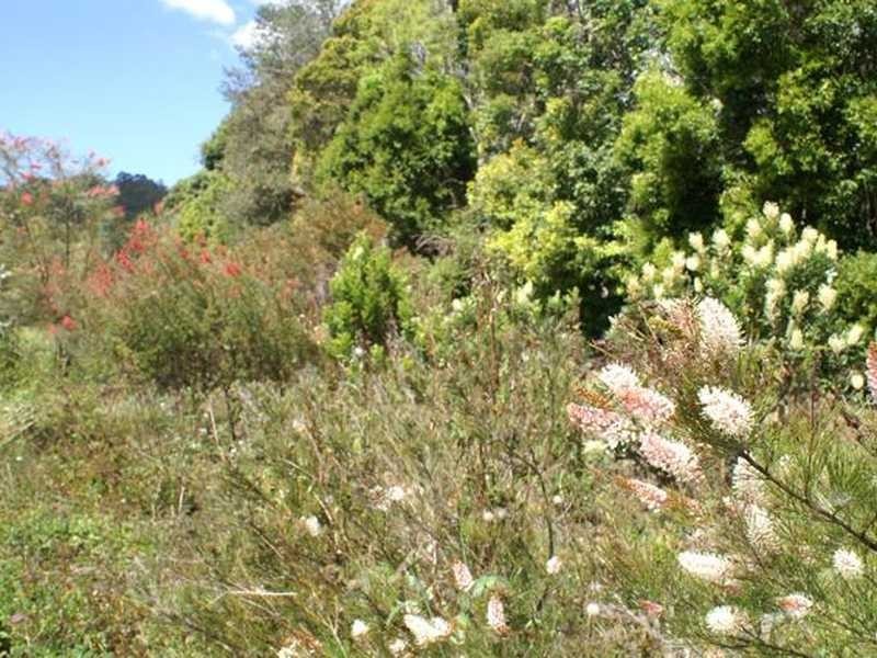 134 Fairhill Road, Ninderry QLD 4561