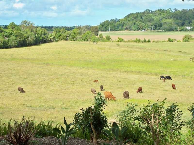 453 Bli Bli Road, Bli Bli QLD 4560