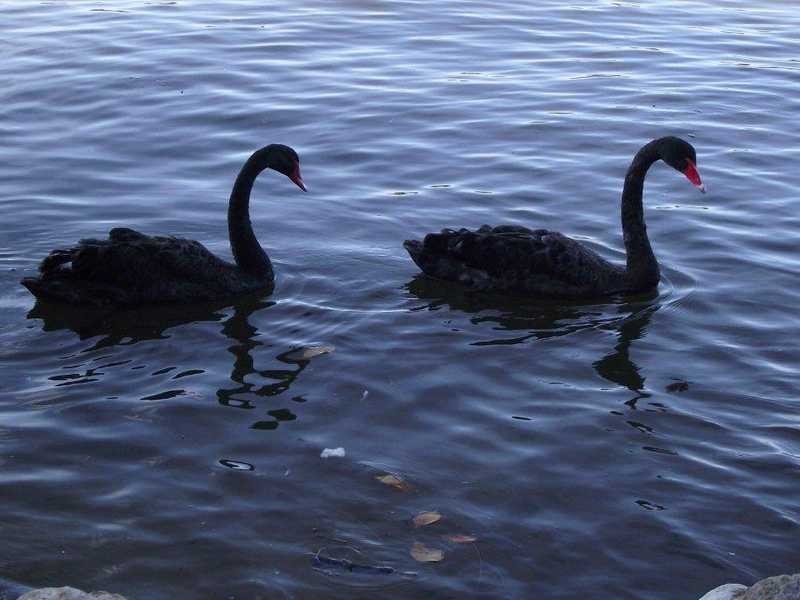 Villa 28/23 Blackwood Street, Maroochydore QLD 4558