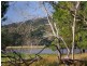 361 Yandina Cooloolabin Road, Yandina QLD 4561