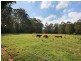 361 Yandina Cooloolabin Road, Yandina QLD 4561