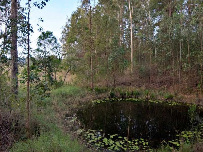 98 Sunridge Road, Palmwoods QLD 4555