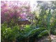 13 CLARINDA ROAD, Ninderry QLD 4561