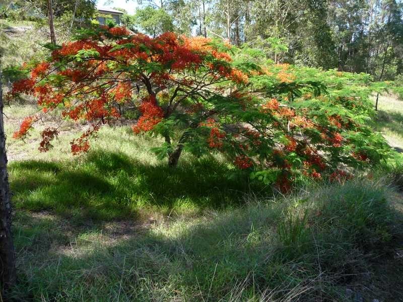 71 Towen Mountain Road, Towen Mountain QLD 4560