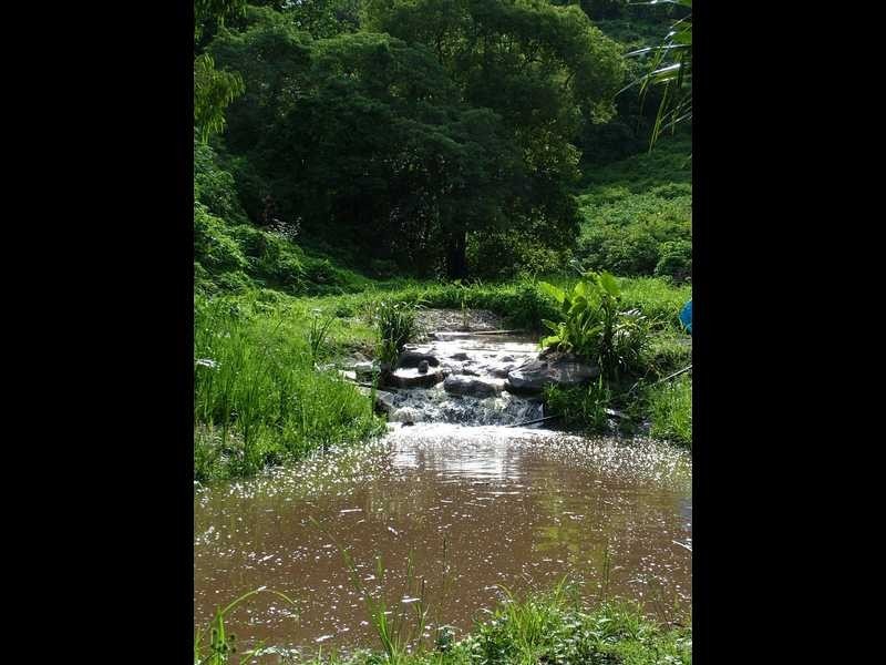 358 Nambour Mapleton Road, Nambour QLD 4560