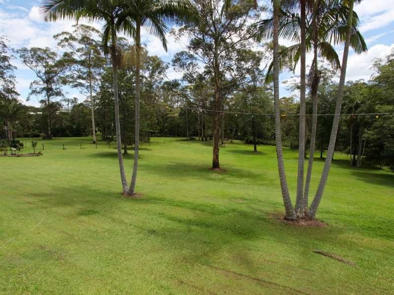 51 River Gum Drive, Diddillibah QLD 4559