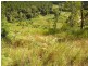 129 Tamlyn Road, Kenilworth QLD 4574