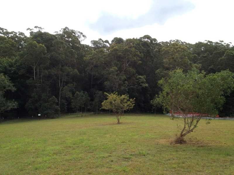 Lot 1 435 Kiel Mountain Road, Diddillibah QLD 4559