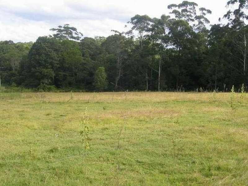 56 Preston Road, Diddillibah QLD 4559