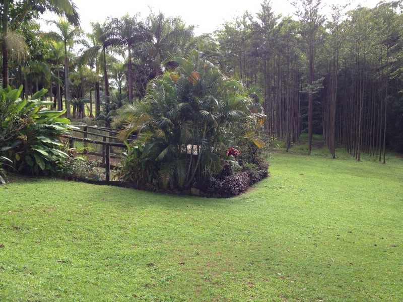 429 Kiel Mountain Road, Diddillibah QLD 4559