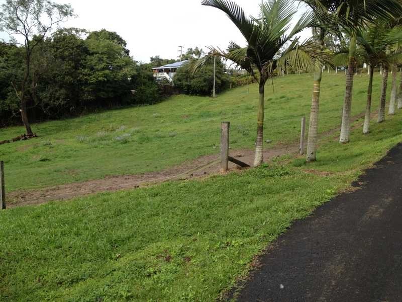 429 Kiel Mountain Road, Diddillibah QLD 4559