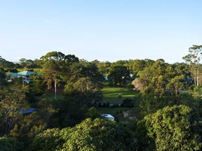 798 Diddillibah Road, Diddillibah QLD 4559