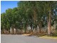 2 Gannet Close, Wurtulla QLD 4575