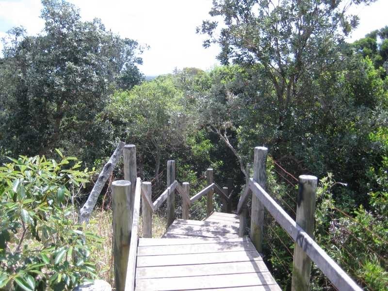2 Gannet Close, Wurtulla QLD 4575